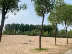 -东郊湿地公园