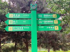 -长白岛森林公园