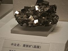 -天津自然博物馆