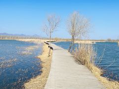 -野鸭湖国家湿地公园