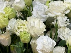 -花屿鲜花(淡水店)