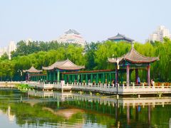 -莲花池公园