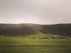 -莫日格勒旅游景区