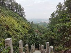 -水濂山森林公园