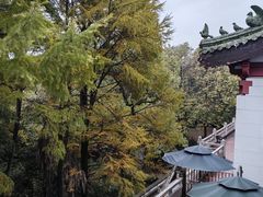 -杭州林泉山庄