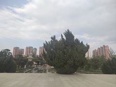 -卧龙岗文化园-南阳市汉画馆