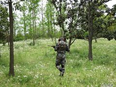 -滨江森林公园-真人CS野战场