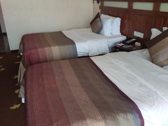 -雅安楠水阁温泉酒店