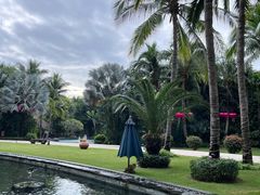 -三亚湾海居铂尔曼度假酒店