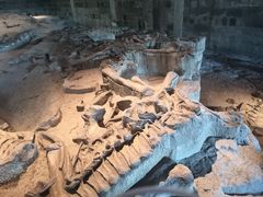 -自贡恐龙博物馆