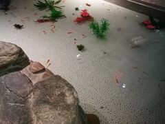 -大和洗浴休闲会所