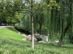 -后襄河公园