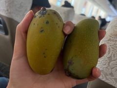 -万家宴海鲜大酒楼(五四路店)