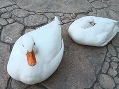 -中国农业博物馆