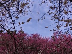 -太子山公园(园东路)