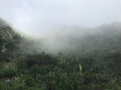 -白草畔自然风景区