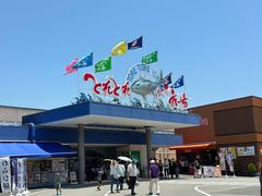 -南纪白浜Toretore市场