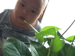 iphone_upload_pic-云台山风景名胜区