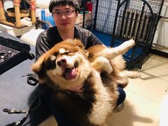 -好利来(东直门银座店)