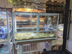 -酷以爬仙阁实体爬宠店·守宫·蜥蜴·专业繁育