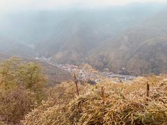 -藏龙百瀑风景区