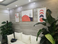 -凡碧诗毛孔清洁收细