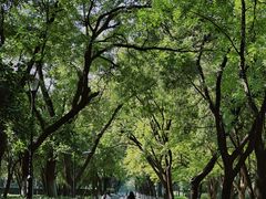 -山东大学(趵突泉校区)