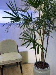 点击看大图 -深圳美莱医疗美容医院