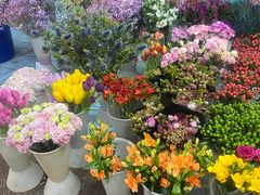 -双季花艺园艺市场(浦东店)