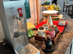 -虹桥机场国航贵宾室v8