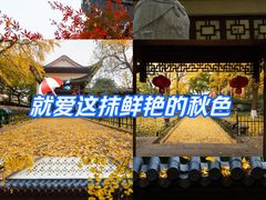 -郑和公园