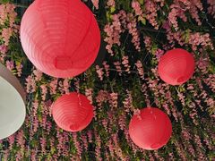 -食欲老院子荆芥疙瘩汤(经五路店)