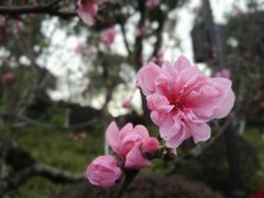 -乌山风景区
