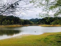 -千岛湖龙川湾