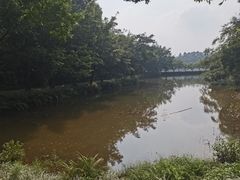 -西樵山风景名胜区-天湖公园