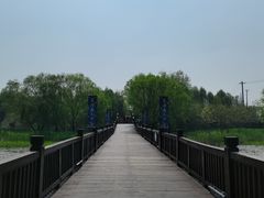 -苏州太湖国家湿地公园