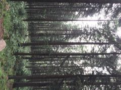 景点-芦芽山旅游度假区