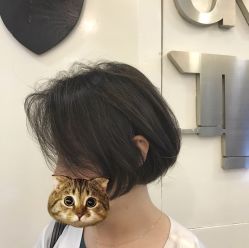 短发-SALON TV x ILCOLPO