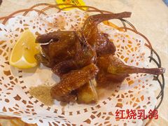 -一煲鸽