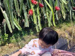 -广东花都香草世界旅游度假区