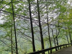 -凤栖山