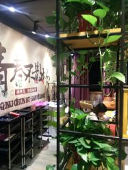 点击看大图 -藤野造型