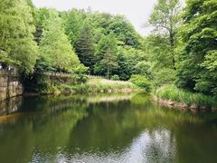 -洛阳白云山景区