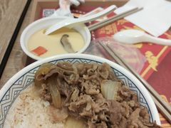 -吉野家(红博中央公园店)