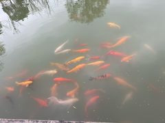 -嘉北郊野公园
