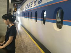 -法兰度航空主题餐厅(台山昌大昌店)