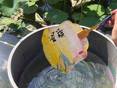 -蜀大侠·侠客印象(园林博物馆店)
