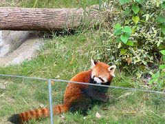 -武汉动物园