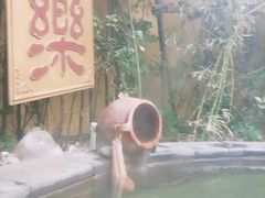 -仁爱团泊湖温泉中心
