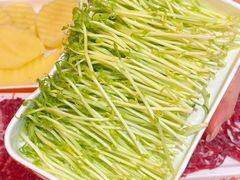 -八合里牛肉火锅(八合里总店)